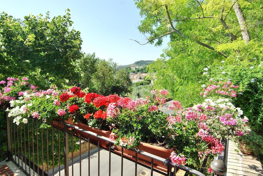 Villa Fiorita Grottammare Exterior foto